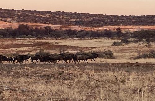 Voigtland Otro | Savanna hills Private Camp