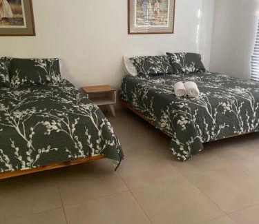 Punta Sur Apartamento | Savannah Inn Studio Apartment 104