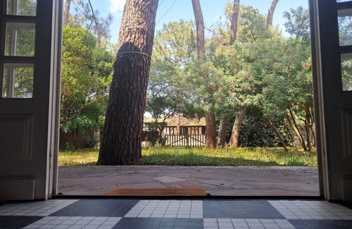 Mimizan Casa | SAVANNAH - The pine house
