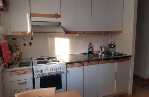 Savonlinna Apartamento | Savonlinnan keskusta