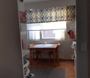 Savonlinna Apartamento | Savonlinnan keskusta