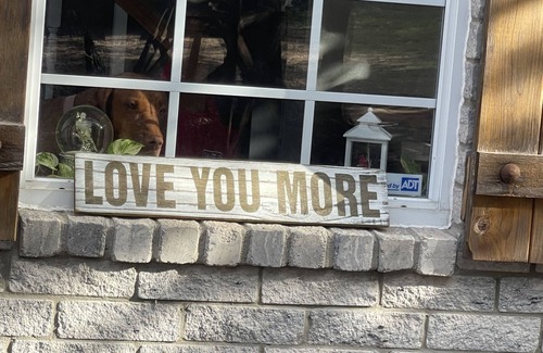 Wetmore Casa | Savor and Stay in hill country of San Antonio!