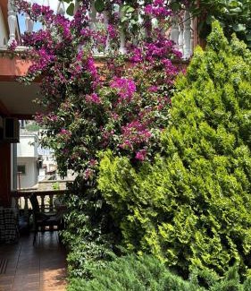Dobra Voda Apartamento | Sayohat Apartments
