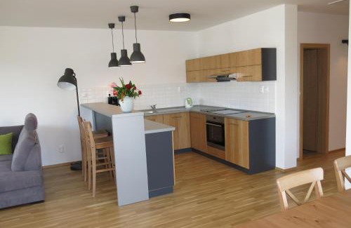 Velky Meder Apartamento | Scandic apartmany