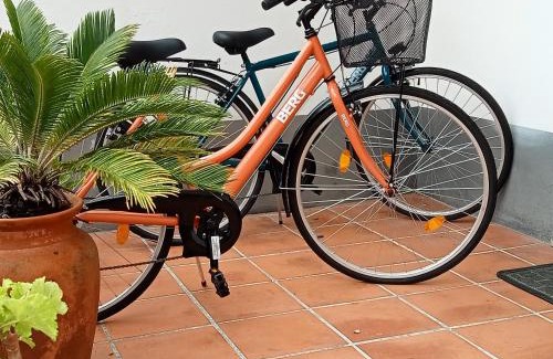 Ponta Delgada Apartamento | Scenic Comfort