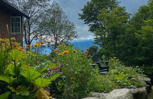 Warren Casa | Scenic Sourbush