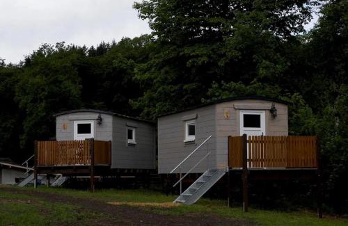 Eifel Otro | Schäferkarrenpark Adler- und Wolfspark Kasselburg