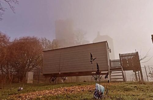 Eifel Otro | Schäferkarrenpark Adler- und Wolfspark Kasselburg