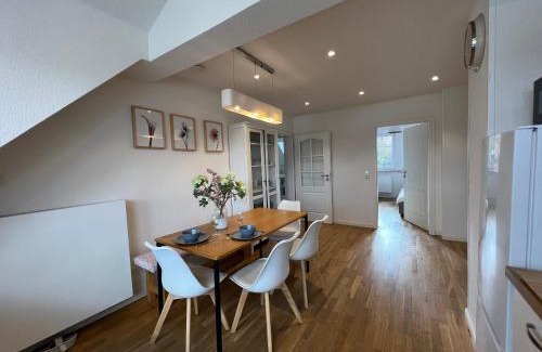 Loerrach Apartamento | Schöne Altbauwohnung mit großer Dachterrasse für bis zu 8 Personen
