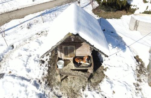 Sankt Lambrecht Apartamento | Schöne Ferienwohnung im Naturpark Grebenzen