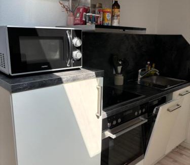 Herbertingen Apartamento | Schöne, große Ferienwohnung direkt am Donauradweg & Keltenstadt Heuneburg
