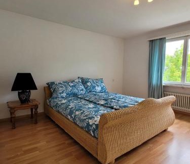 Vaduz Apartamento | Schöne grosse Attika-Wohnung im Zentrum von Vaduz inkl. Parkplatz