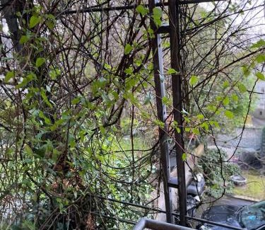 Annen Apartamento | Schöne Wohnung in zentraler Lage im Ruhrgebiet