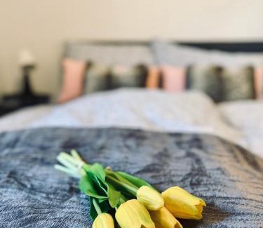 Bremen-Vegesack Apartamento | Schönes 2 Zimmer Apartment, ruhig und gemütlich
