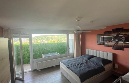 Wuerzburg Apartamento | schönes Apartment mit Festungsblick - FREE Parking -