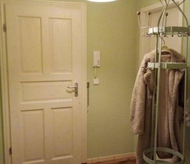 Outer Neustadt Apartamento | Schönes Feng Shui Loft über den Dächern der Dresdner Neustadt