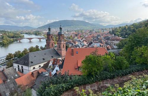 Miltenberg Apartamento | schönes Studio für Ihren Kurzurlaub in Miltenberg