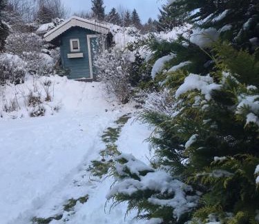 Wakenfeld Casa | Schönwald Waldchalet am Musenberg