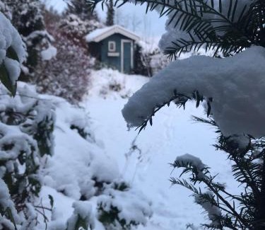 Wakenfeld Casa | Schönwald Waldchalet am Musenberg