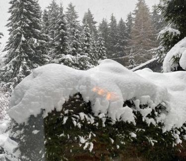 Wakenfeld Casa | Schönwald Waldchalet am Musenberg
