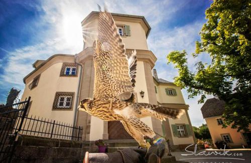 Bad Berneck im Fichtelgebirge Cama Y Desayuno | Schloß Falkenhaus