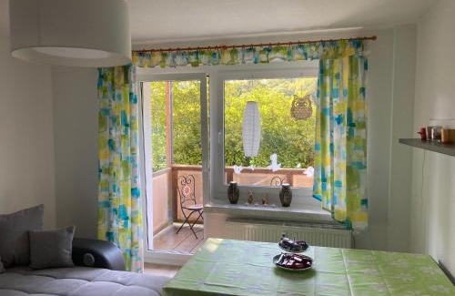 Oberwiesenthal Apartamento | Schaefers Ferienwohnung