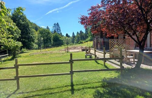 Wallscheid Apartamento | Scheune