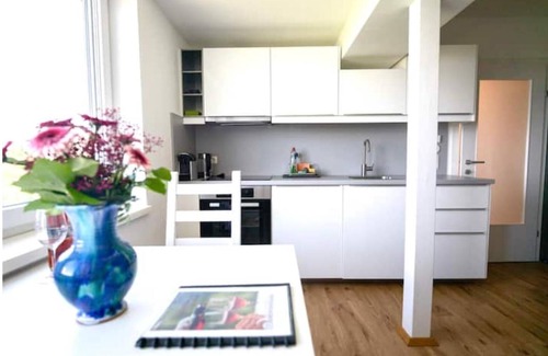 Sankt Stefan ob Stainz Apartamento | Schilcherland Studio