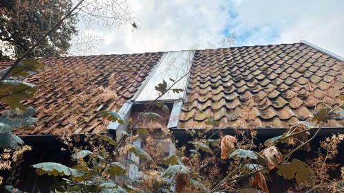 Berxen Casa | Schlafstall Brooksen