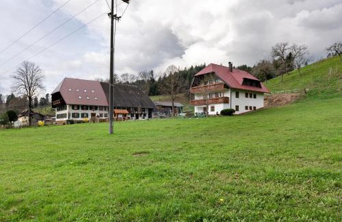Ibental Apartamento | Schlegelhansenhof