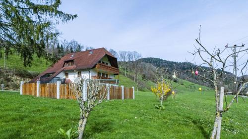 Ibental Apartamento | Schlegelhansenhof