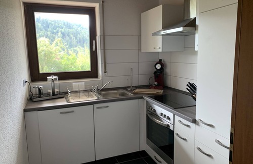 Scheuern Apartamento | Schlossblickwohnung Schiel, 60sqm, terrace, 1 bedroom, max. 4 persons