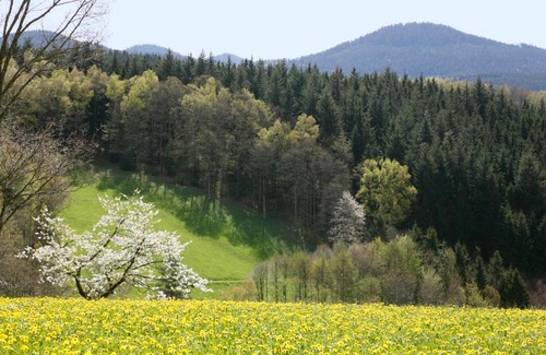 Oberwolfach Apartamento | Schmalzerhisli