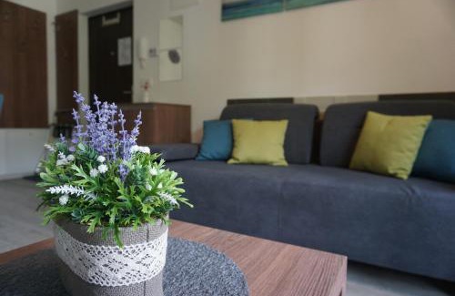 Assachberg Apartamento | Schneekristall