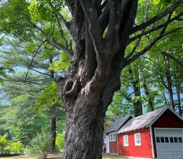 Town of Marbletown Casa | Schoolhouse No. 11 * Hudson Valley Upstate Getaway