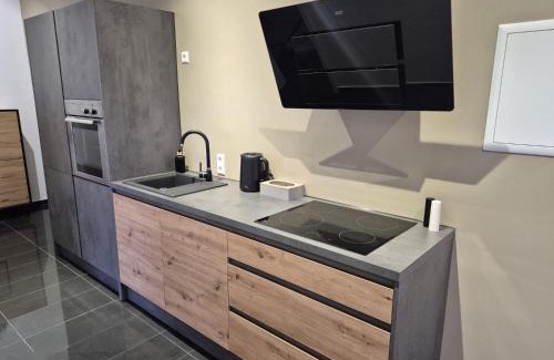 Oberdorla Apartamento | Schwarzwald City Loft 2