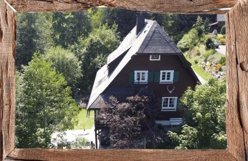 St. Blasien Casa | Schwarzwaldhaus St Blasien, Direkt Am Bach