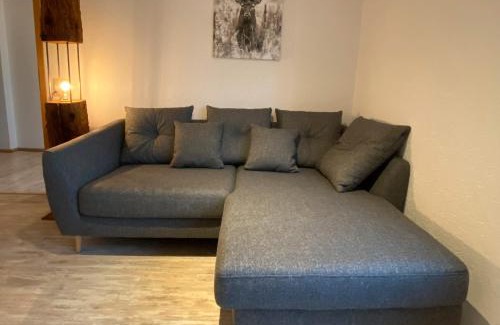 Dachsberg Apartamento | Schwarzwaldnest Dachsberg