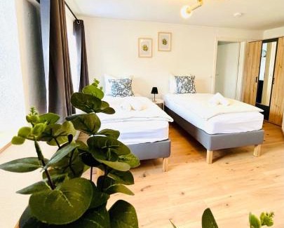 Donaueschingen Apartamento | Schwarzwaldnest Donaueschingen