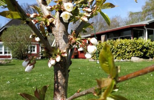 Beselin Apartamento | Schwedenhaus