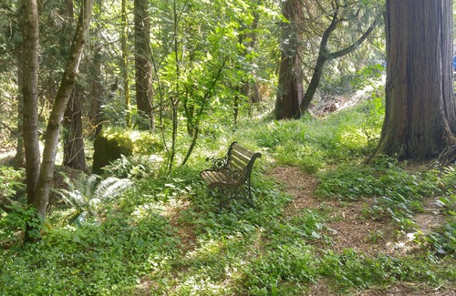 Happy Valley Apartamento | Scott Creek Farm: 2 Acre Sustainable Farm Con El Bosque, Creek, Y parque natural.