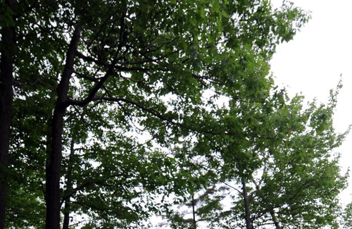 Huntsville Cabaña | Scott's Point Islandview - Reasons For The Seasons...
