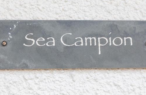 Burgh Island Apartamento | Sea Campion