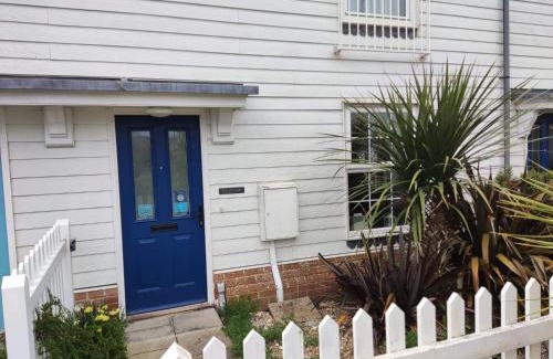 Camber Casa | Sea Dragon