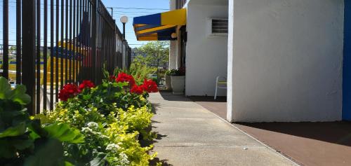 North Ocean City Hotel | Sea Hawk Motel