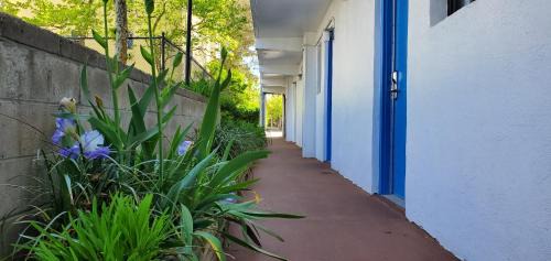 North Ocean City Hotel | Sea Hawk Motel