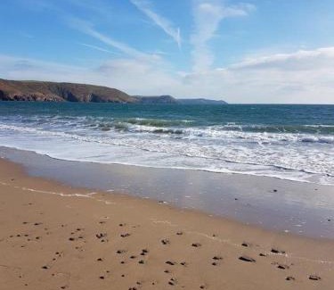 Pembroke Casa | Sea Holly Freshwater East Beach