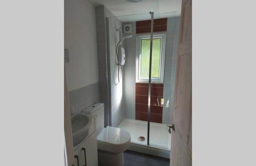 Pembroke Casa | Sea Holly Freshwater East Beach