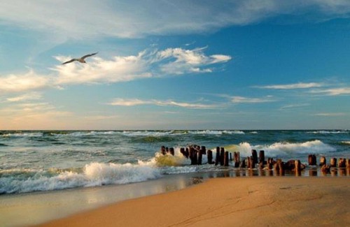 Zelenogradsk Apartamento | Sea Home