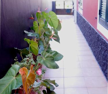 Faial Apartamento | Sea & Mountain View Lombo de Cima House BBQ & Wifi